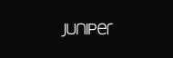 Stock JNPR logo