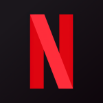 NFLX Stock Logo